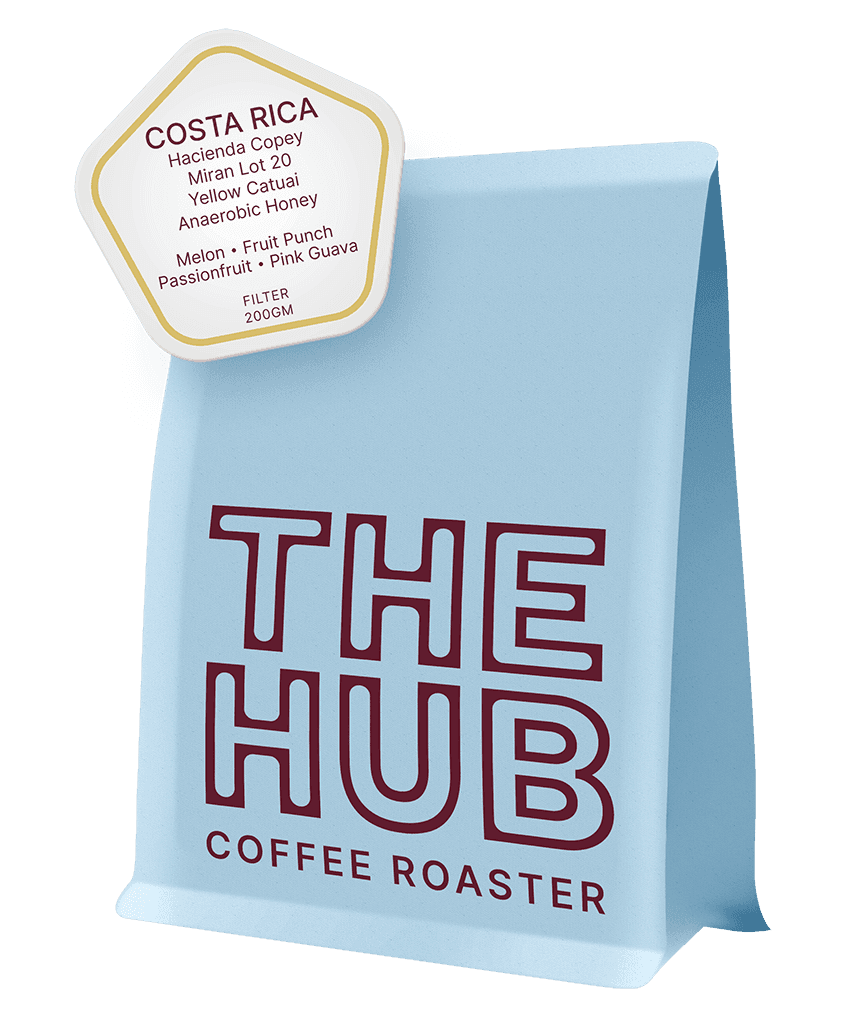Costa Rica Copey Miran Lot 20 (Anaerobic Honey)
